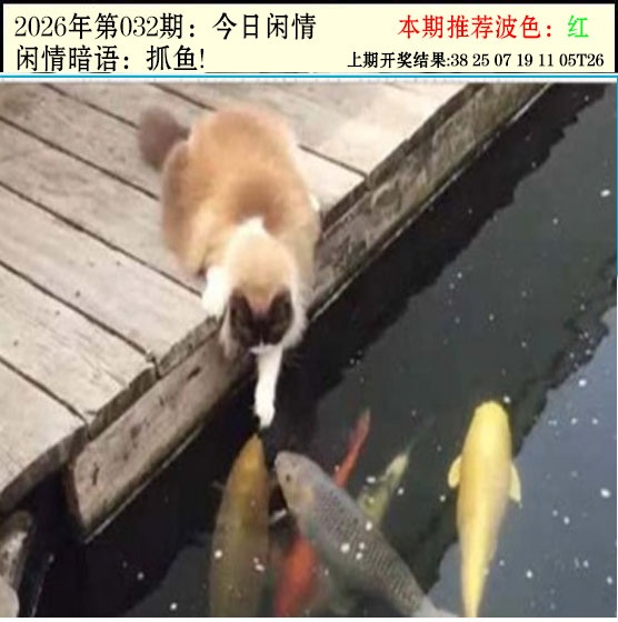 032期今日闲情2[图]