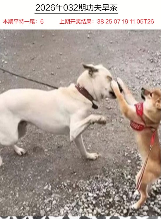 032期功夫早茶[图]