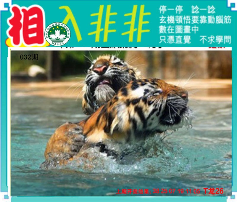 032期相入非非[图]