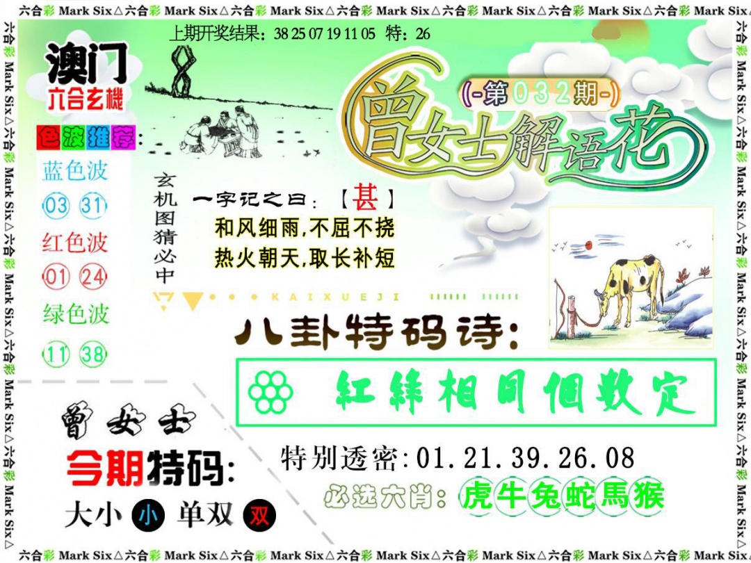 032期曾女士解语花[图]