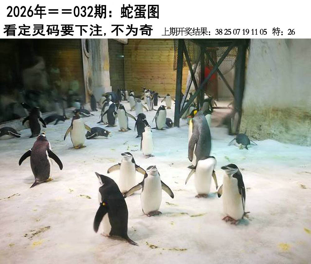 032期另版蛇蛋图[图]